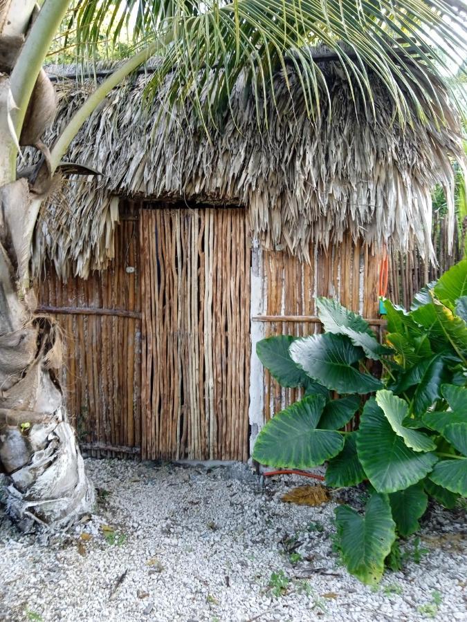 Muelle36 Hostel Bacalar Exterior foto