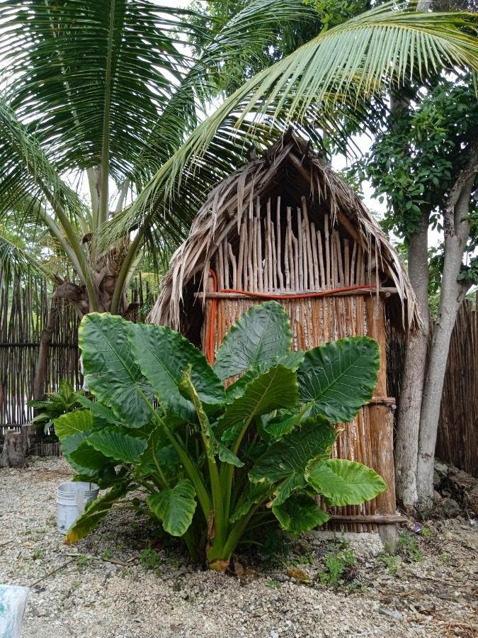 Muelle36 Hostel Bacalar Exterior foto