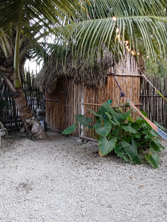 Muelle36 Hostel Bacalar Exterior foto