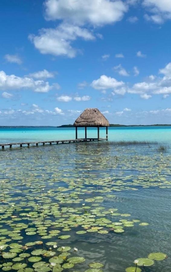 Muelle36 Hostel Bacalar Exterior foto